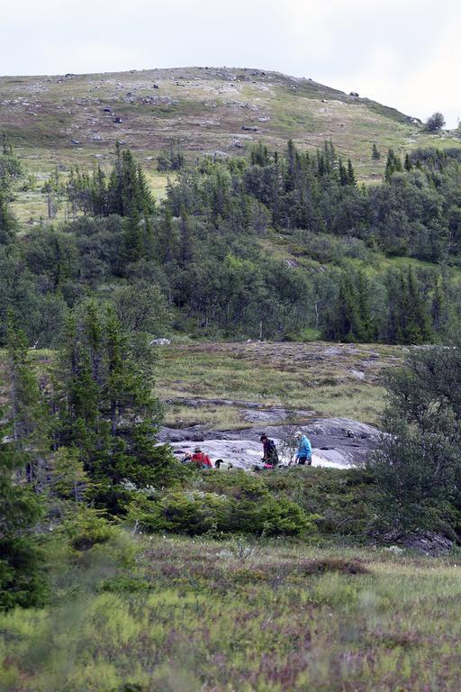 Valadalens Fjaellstation Hotel Eksteriør billede